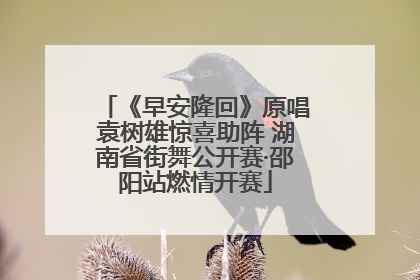 《早安隆回》原唱袁树雄惊喜助阵 湖南省街舞公开赛·邵阳站燃情开赛