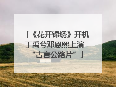 《花开锦绣》开机 丁禹兮邓恩熙上演“古言公路片”