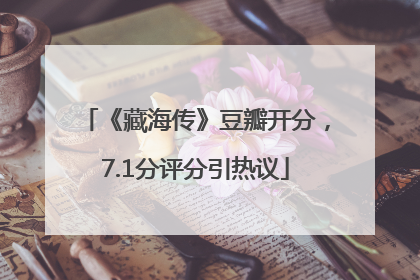 《藏海传》豆瓣开分，7.1分评分引热议