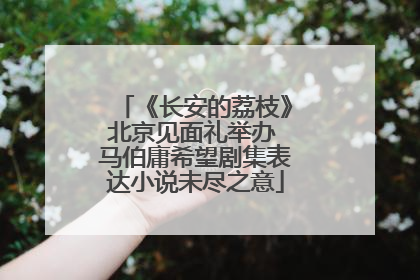 《长安的荔枝》北京见面礼举办 马伯庸希望剧集表达小说未尽之意