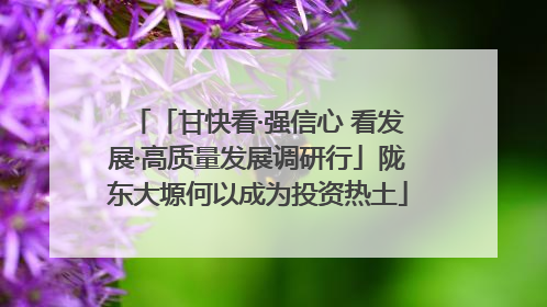 「甘快看·强信心 看发展·高质量发展调研行」陇东大塬何以成为投资热土
