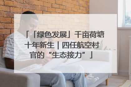 「绿色发展」千亩荷塘 十年新生｜四任航空村官的“生态接力”