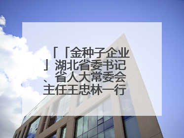 「金种子企业」湖北省委书记、省人大常委会主任王忠林一行到依瑞德调研