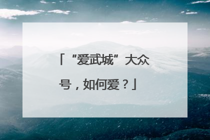“爱武城”大众号，如何爱？