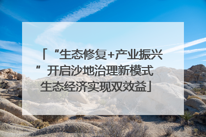“生态修复+产业振兴”开启沙地治理新模式 生态经济实现双效益