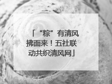 “粽”有清风拂面来！五社联动共织清风网