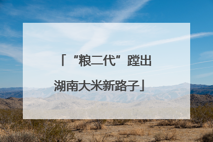 “粮二代”蹚出湖南大米新路子