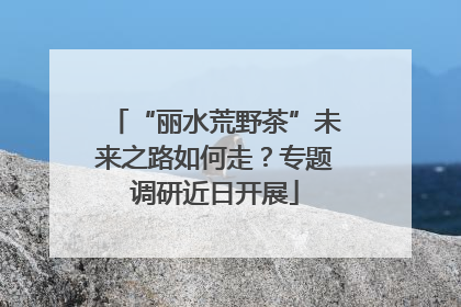 “丽水荒野茶”未来之路如何走？专题调研近日开展