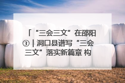 “三会三文”在邵阳③｜洞口县谱写“三会三文”落实新篇章 构建协同联动大格局