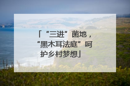 “三进”菌地，“黑木耳法庭”呵护乡村梦想