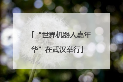 “世界机器人嘉年华”在武汉举行
