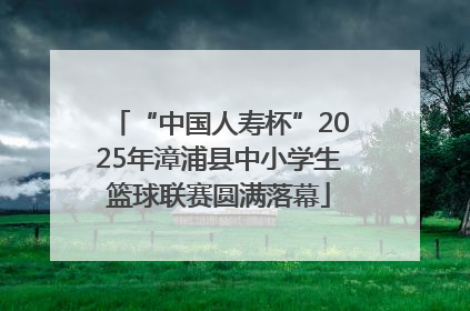 “中国人寿杯”2025年漳浦县中小学生篮球联赛圆满落幕