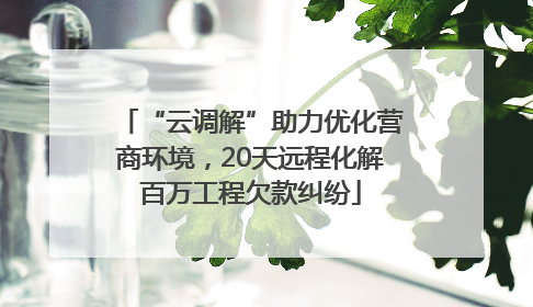 “云调解”助力优化营商环境，20天远程化解百万工程欠款纠纷