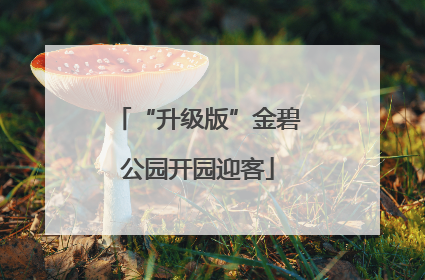 “升级版”金碧公园开园迎客