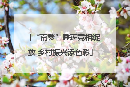 “南繁”睡莲竞相绽放 乡村振兴添色彩
