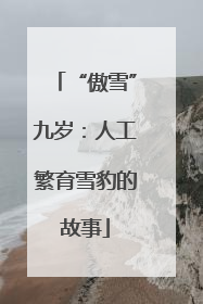 “傲雪”九岁：人工繁育雪豹的故事