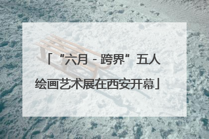 “六月 - 跨界”五人绘画艺术展在西安开幕
