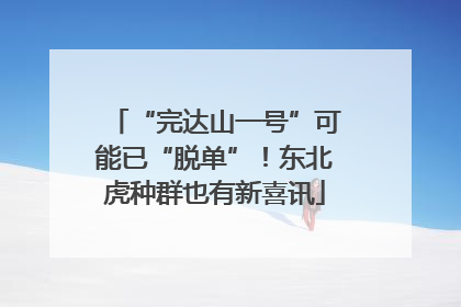 “完达山一号”可能已“脱单”！东北虎种群也有新喜讯