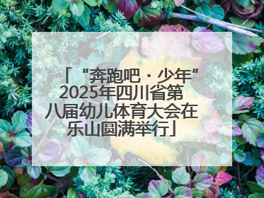 “奔跑吧・少年”2025年四川省第八届幼儿体育大会在乐山圆满举行