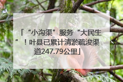 “小沟渠”服务“大民生”！叶县已累计清淤疏浚渠道247.79公里