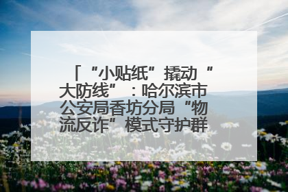 “小贴纸”撬动“大防线”：哈尔滨市公安局香坊分局“物流反诈”模式守护群众“钱袋子”