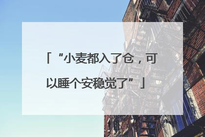 “小麦都入了仓，可以睡个安稳觉了”
