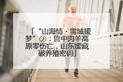 “山海情・雪域援梦”②：鲁中肉羊高原零伤亡，山东援藏破养殖密码