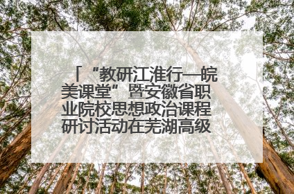 “教研江淮行—皖美课堂”暨安徽省职业院校思想政治课程研讨活动在芜湖高级职业技术学校举行