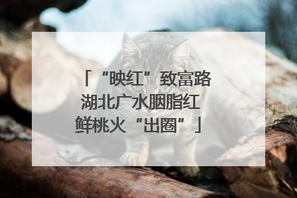 “映红”致富路 湖北广水胭脂红鲜桃火“出圈”