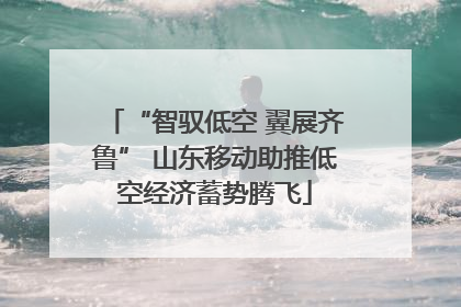 “智驭低空 翼展齐鲁” 山东移动助推低空经济蓄势腾飞