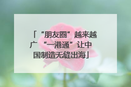 “朋友圈”越来越广 “一港通”让中国制造无缝出海