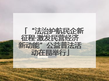 “法治护航民企新征程·激发民营经济新动能”公益普法活动在昆举行
