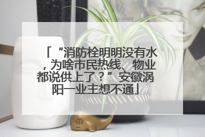“消防栓明明没有水，为啥市民热线、物业都说供上了？”安徽涡阳一业主想不通