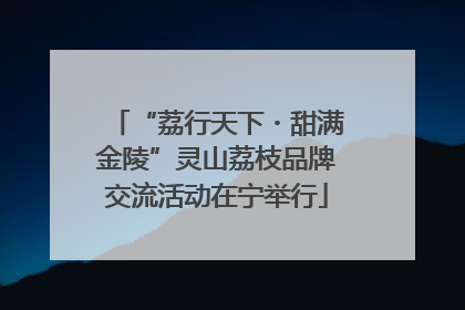 “荔行天下・甜满金陵”灵山荔枝品牌交流活动在宁举行