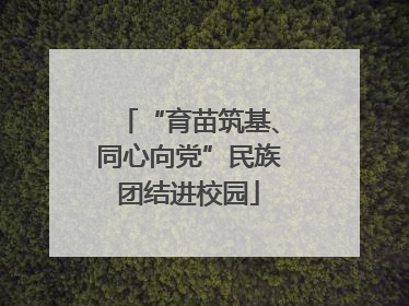 “育苗筑基、同心向党”民族团结进校园