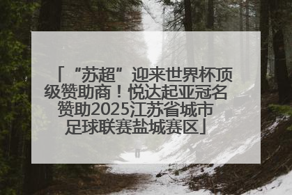 “苏超”迎来世界杯顶级赞助商！悦达起亚冠名赞助2025江苏省城市足球联赛盐城赛区