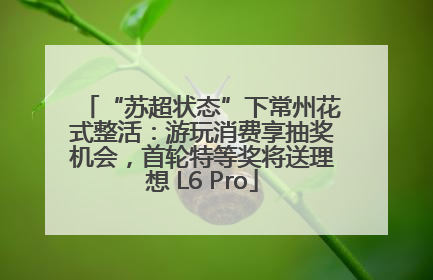 “苏超状态”下常州花式整活：游玩消费享抽奖机会，首轮特等奖将送理想 L6 Pro