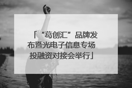 “葛创汇”品牌发布暨光电子信息专场投融资对接会举行