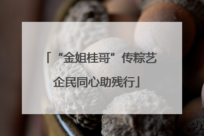 “金姐桂哥”传粽艺 企民同心助残行