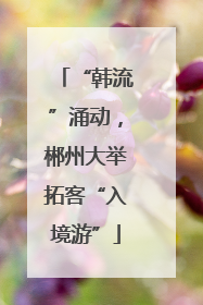 “韩流”涌动，郴州大举拓客“入境游”