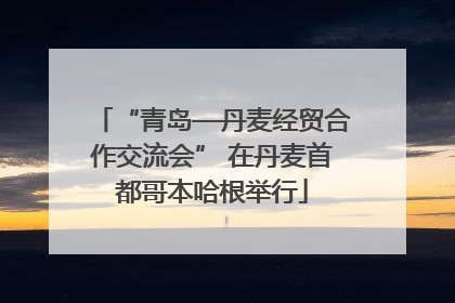 “青岛—丹麦经贸合作交流会” 在丹麦首都哥本哈根举行