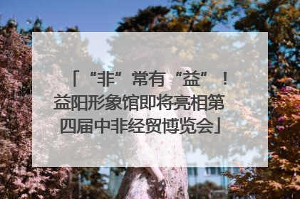 “非”常有“益”！益阳形象馆即将亮相第四届中非经贸博览会