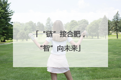 “链”接合肥，“智”向未来