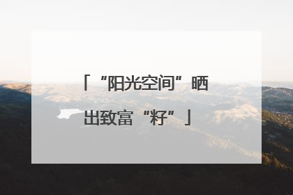“阳光空间”晒出致富“籽”