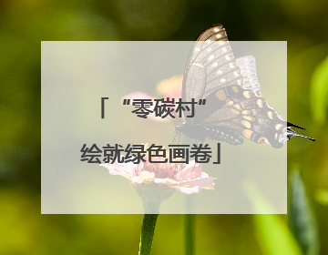 “零碳村” 绘就绿色画卷