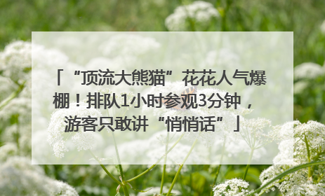 “顶流大熊猫”花花人气爆棚！排队1小时参观3分钟，游客只敢讲“悄悄话”