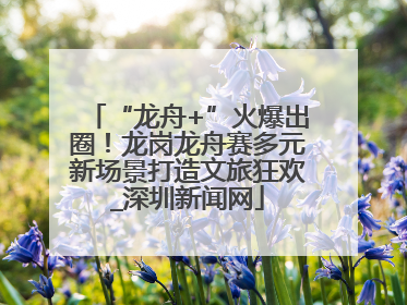 “龙舟+”火爆出圈！龙岗龙舟赛多元新场景打造文旅狂欢_深圳新闻网