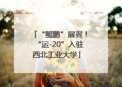 “鲲鹏”展翼！“运-20”入驻西北工业大学