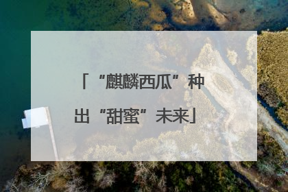 “麒麟西瓜”种出“甜蜜”未来