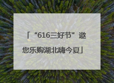 “616三好节”邀您乐购湖北嗨今夏